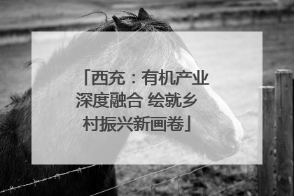 西充：有机产业深度融合 绘就乡村振兴新画卷