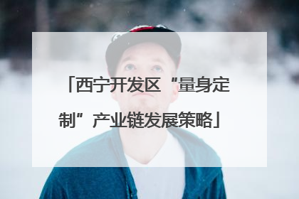 西宁开发区“量身定制”产业链发展策略