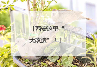 西安这里“大改造”！