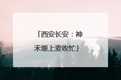 西安长安：神禾塬上麦收忙