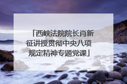 西峡法院院长肖新征讲授贯彻中央八项规定精神专题党课