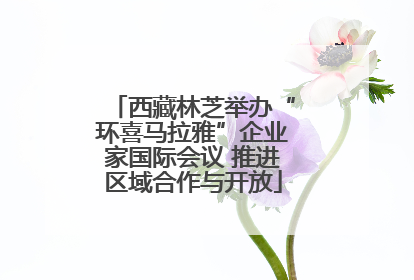 西藏林芝举办“环喜马拉雅”企业家国际会议 推进区域合作与开放