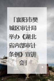 襄阳市樊城区审计局举办《湖北省内部审计条例》宣讲会