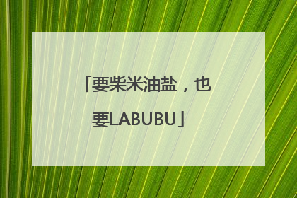 要柴米油盐，也要LABUBU