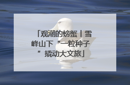 观潮的螃蟹丨雪峰山下“一粒种子”撬动大文旅