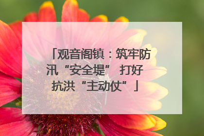 观音阁镇：筑牢防汛“安全堤” 打好抗洪“主动仗”
