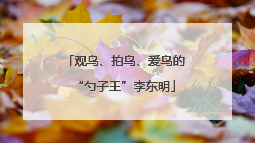 观鸟、拍鸟、爱鸟的“勺子王”李东明
