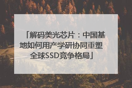 解码美光芯片：中国基地如何用产学研协同重塑全球SSD竞争格局