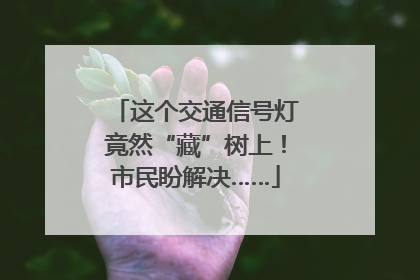 这个交通信号灯竟然“藏”树上！市民盼解决……