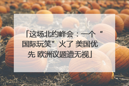 这场北约峰会：一个“国际玩笑”火了 美国优先 欧洲议题遭无视