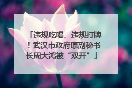 违规吃喝、违规打牌！武汉市政府原副秘书长周大鸿被“双开”