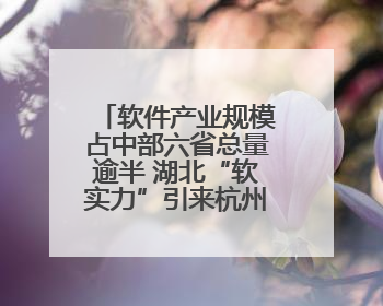 软件产业规模占中部六省总量逾半 湖北“软实力”引来杭州两小龙