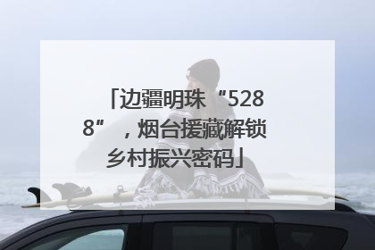 边疆明珠“5288”，烟台援藏解锁乡村振兴密码