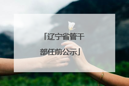 辽宁省管干部任前公示