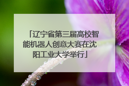 辽宁省第三届高校智能机器人创意大赛在沈阳工业大学举行