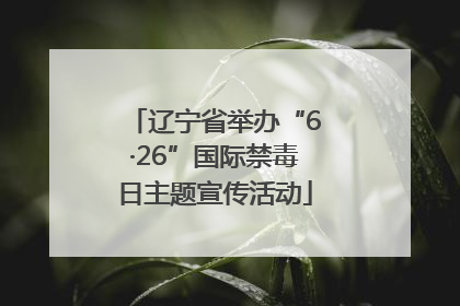 辽宁省举办“6·26”国际禁毒日主题宣传活动