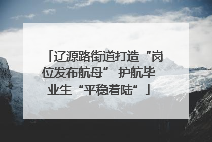辽源路街道打造“岗位发布航母” 护航毕业生“平稳着陆”