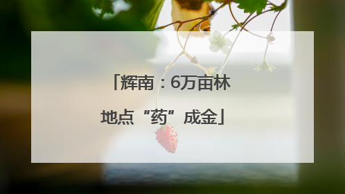 辉南：6万亩林地点“药”成金