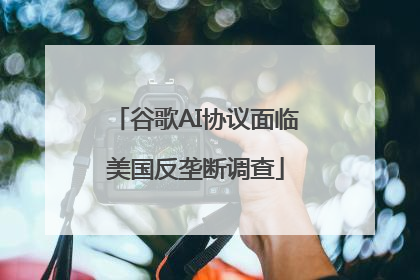 谷歌AI协议面临美国反垄断调查
