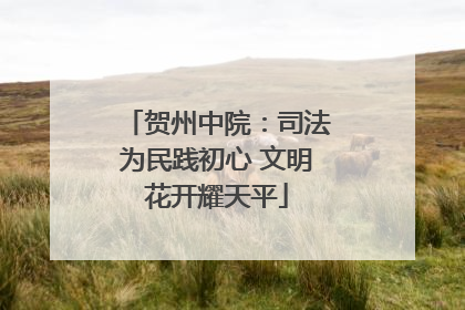 贺州中院：司法为民践初心 文明花开耀天平