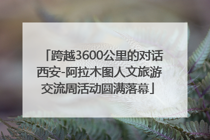 跨越3600公里的对话 西安-阿拉木图人文旅游交流周活动圆满落幕