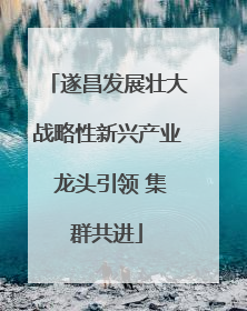遂昌发展壮大战略性新兴产业 龙头引领 集群共进