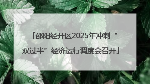 邵阳经开区2025年冲刺“双过半”经济运行调度会召开