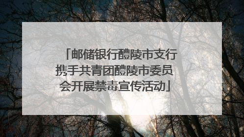 邮储银行醴陵市支行携手共青团醴陵市委员会开展禁毒宣传活动