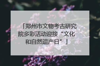 郑州市文物考古研究院多彩活动迎接“文化和自然遗产日”