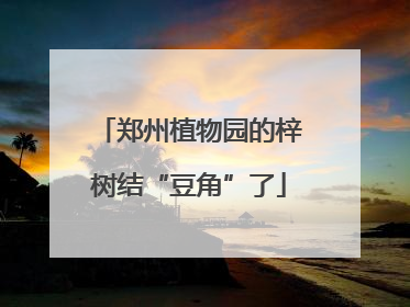 郑州植物园的梓树结“豆角”了