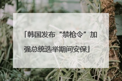 韩国发布“禁枪令”加强总统选举期间安保