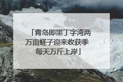 青岛即墨丁字湾两万亩蛏子迎来收获季 每天万斤上岸