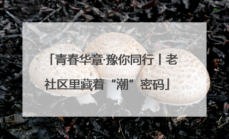 青春华章·豫你同行丨老社区里藏着“潮”密码