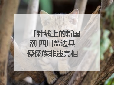 针线上的新国潮 四川盐边县傈僳族非遗亮相西博会｜图集