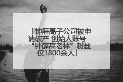 钟薛高子公司被申请破产 创始人账号“钟薛高老林”粉丝仅1800余人