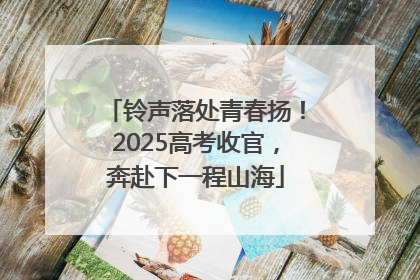 铃声落处青春扬！2025高考收官，奔赴下一程山海