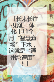 长来长往·见证一体化丨11个月“智慧渔场”下水，这就是“通州湾速度”！