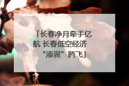 长春净月牵手亿航 长春低空经济“添翼”腾飞