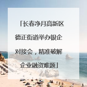 长春净月高新区德正街道举办银企对接会，精准破解企业融资难题