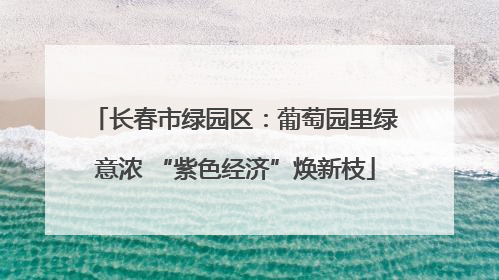 长春市绿园区：葡萄园里绿意浓 “紫色经济”焕新枝