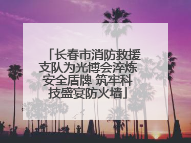 长春市消防救援支队为光博会淬炼安全盾牌 筑牢科技盛宴防火墙