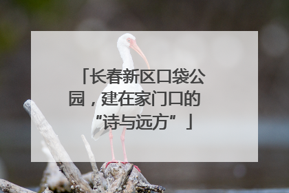 长春新区口袋公园，建在家门口的“诗与远方”