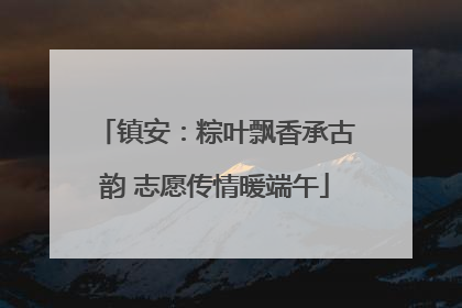 镇安：粽叶飘香承古韵 志愿传情暖端午