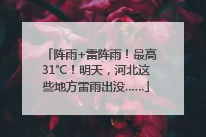 阵雨+雷阵雨！最高31℃！明天，河北这些地方雷雨出没……