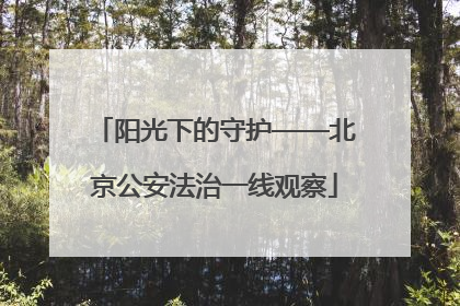 阳光下的守护——北京公安法治一线观察