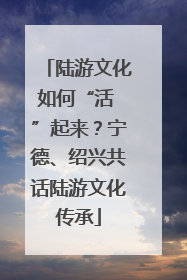 陆游文化如何“活 ”起来？宁德、绍兴共话陆游文化传承
