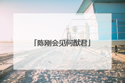 陈刚会见何猷君
