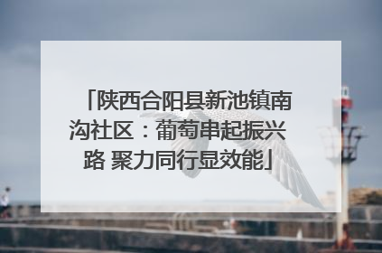 陕西合阳县新池镇南沟社区：葡萄串起振兴路 聚力同行显效能