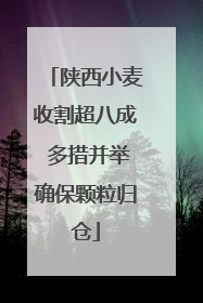 陕西小麦收割超八成 多措并举确保颗粒归仓
