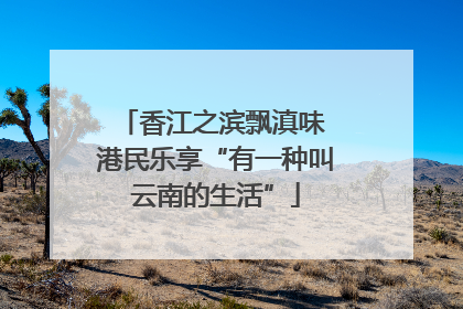 香江之滨飘滇味 港民乐享“有一种叫云南的生活”